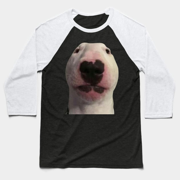 Staring Forward Dog Meme Baseball T-Shirt by artsylab